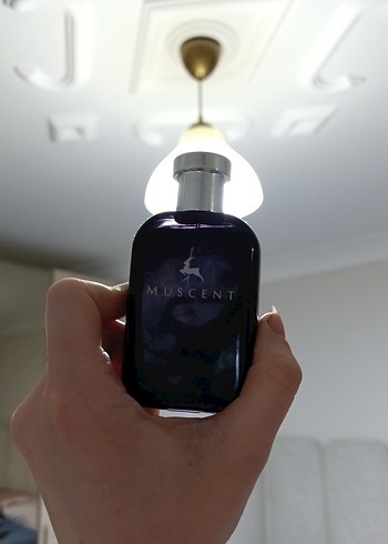 Mor Şişede Minimalist Tarz - Görsel 2