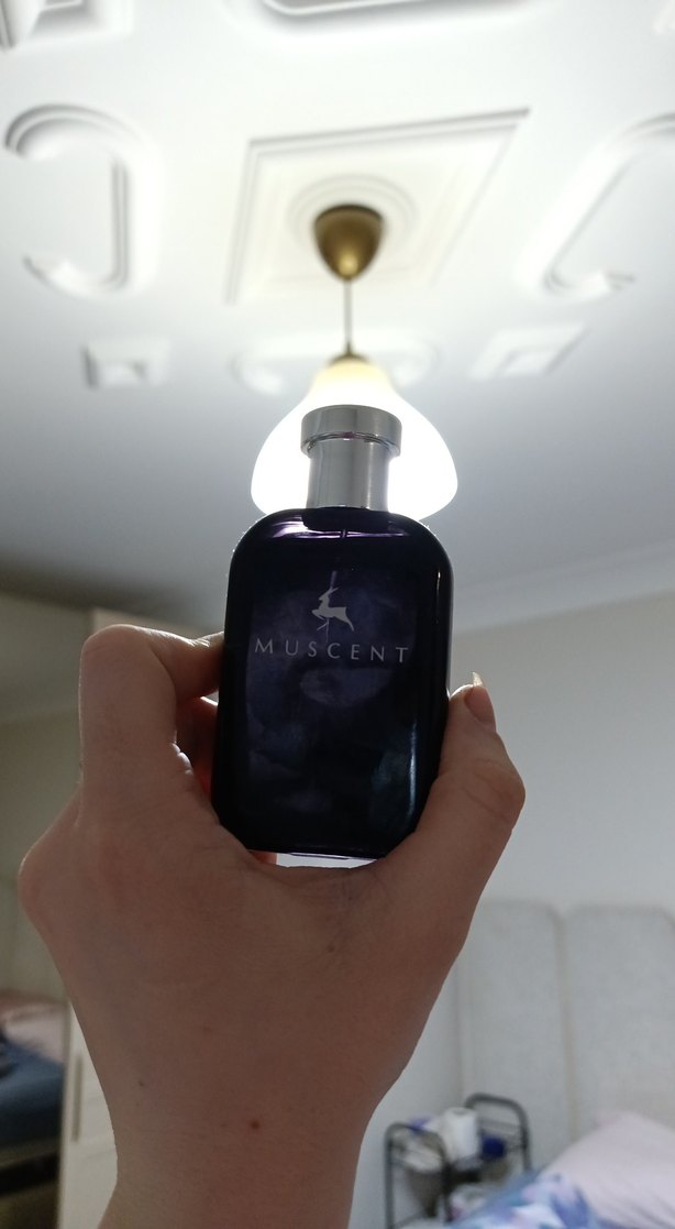 Mor Şişede Minimalist Tarz - Görsel 2