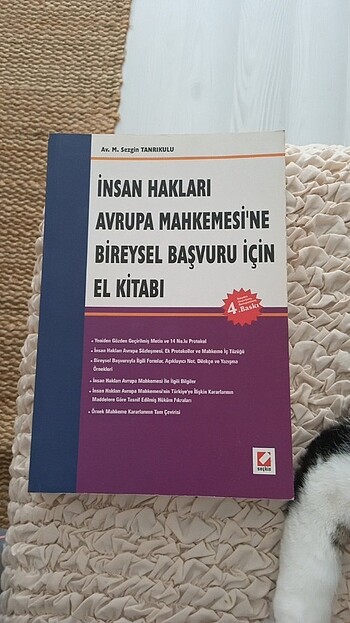 İnsan haklari Avrupa mahkemesine bireysel başvuru için el kitabı