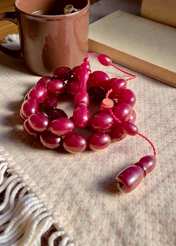 Akif Karasapan Mükemmel Tesbih - Görsel 2