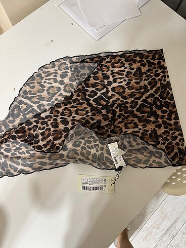Leopar pareo