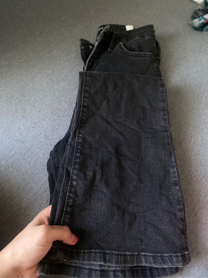 Siyah yüksekbel ispanyolpaça - Görsel 3