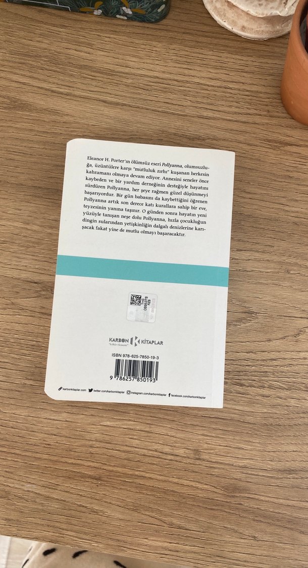 Pollyanna - Eleanor H. Porter - Görsel 3