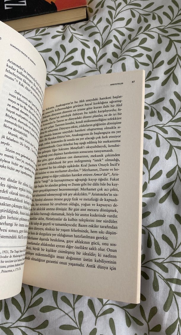 Sokrates Öncesi ve Sonrası - F.M. Cornford - Görsel 2