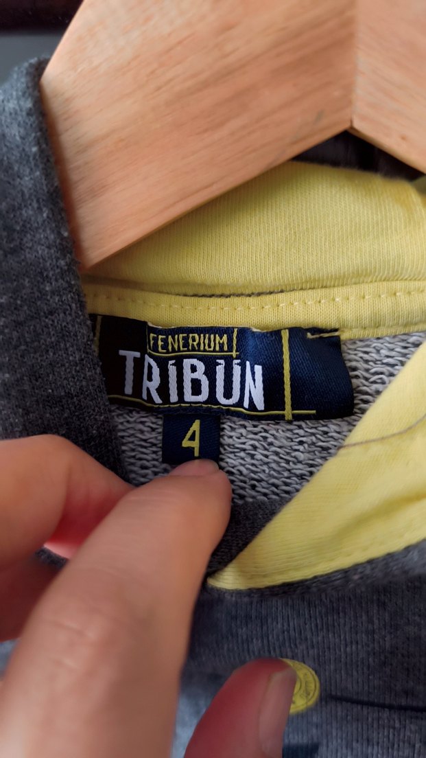 Fenerbahçe Baskılı Erkek Çocuk Sweatshirt - Görsel 3