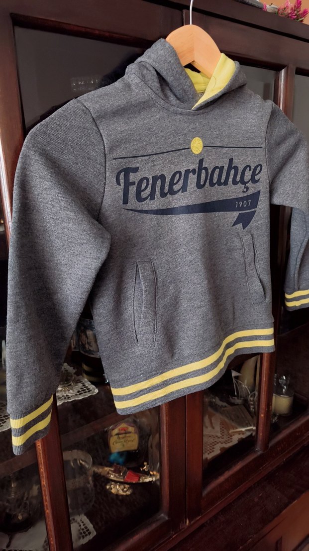 Fenerbahçe Baskılı Erkek Çocuk Sweatshirt - Görsel 2