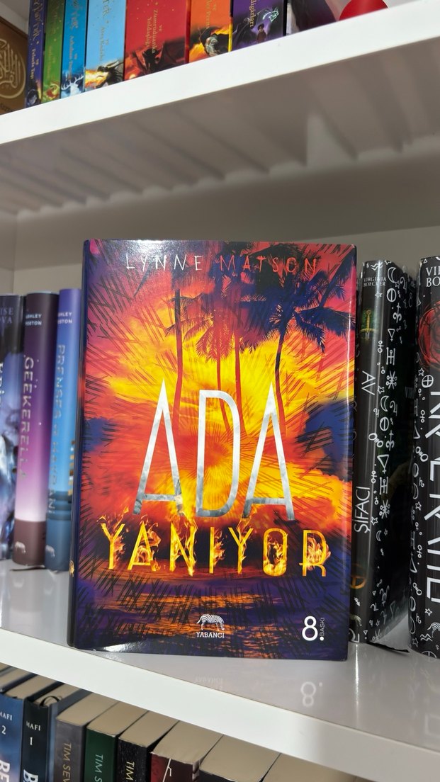 Ada Serisi - 3 kitap ciltli takım Kutulu - Görsel 4