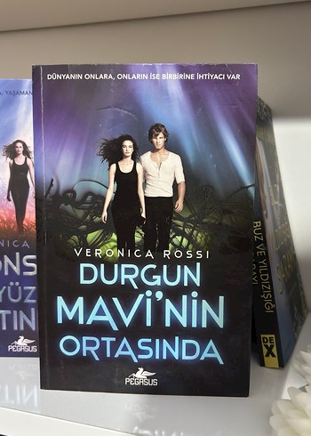 Sonsuz Gökyüzünün Altında serisi- 3 Kitap - Görsel 2