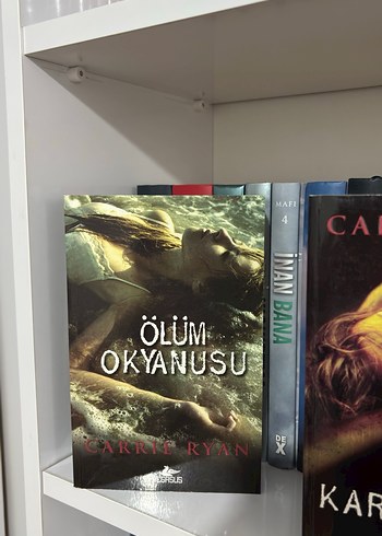 Diriliş Serisi Lanetliler Ormanı vs 3 kitap - Görsel 4