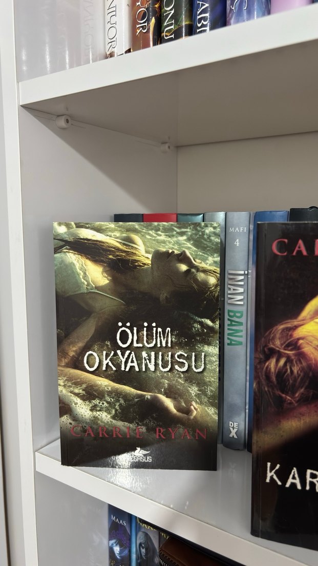 Diriliş Serisi Lanetliler Ormanı vs 3 kitap - Görsel 4