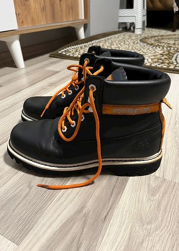 Siyah Cat Bot - Görsel 2