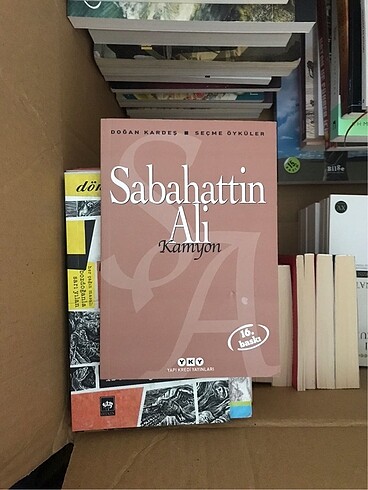 Sabahattin Ali, Kamyon