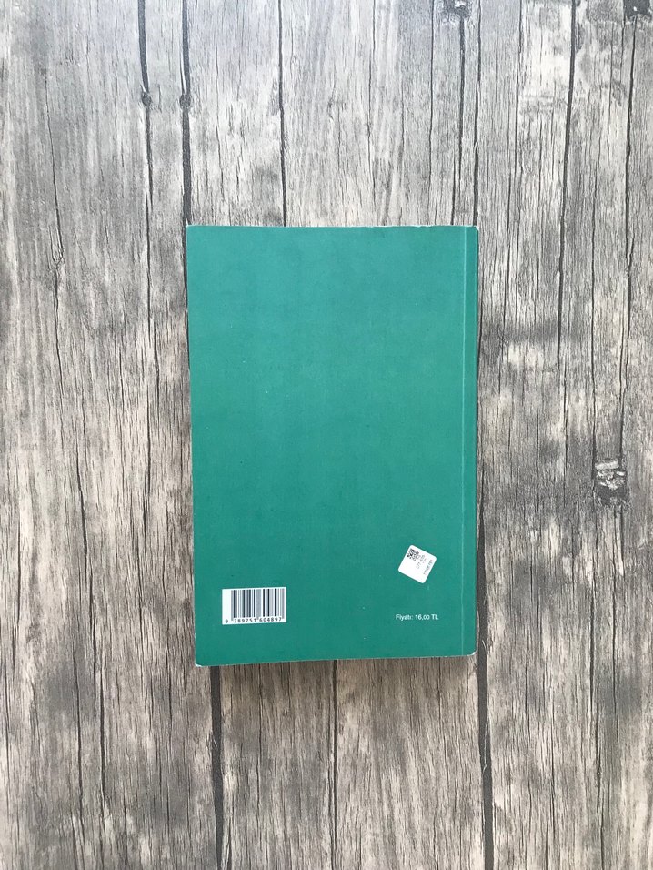 Örneklerle Türk Şiir Bilgisi - Cem DİLÇİN - Görsel 2