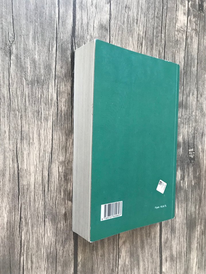 Örneklerle Türk Şiir Bilgisi - Cem DİLÇİN - Görsel 3