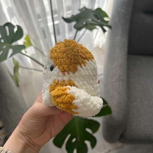 Beden Sarman ve Calico Kedi