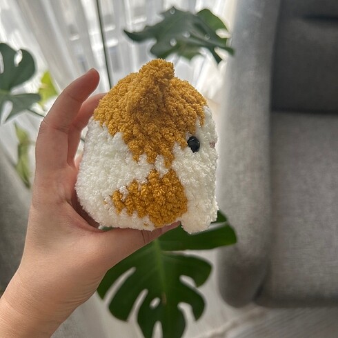 Beden Renk Sarman ve Calico Kedi