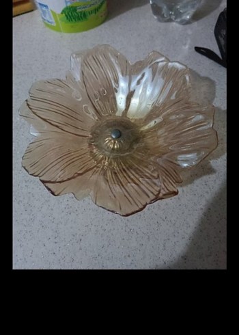 Bej Çiçek Desenli Cam Tabak - Görsel 11