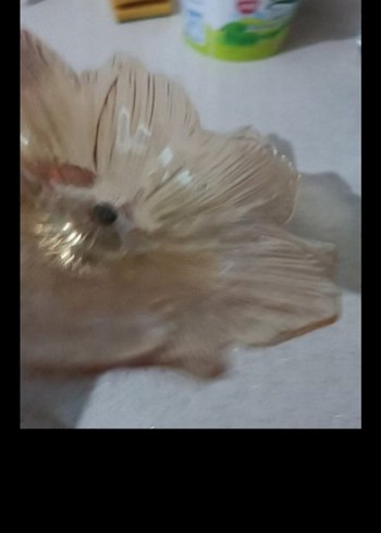 Bej Çiçek Desenli Cam Tabak - Görsel 14