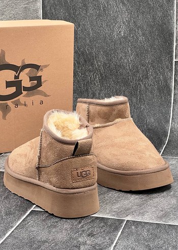 Ugg bot
