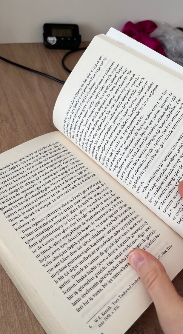 Edebiyat Kuramları ve Eleştiri - Berna Moran - Görsel 3