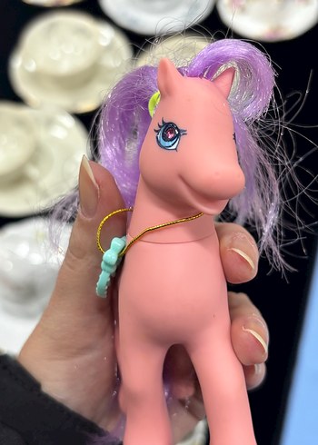 Beden Pony koleksiyon