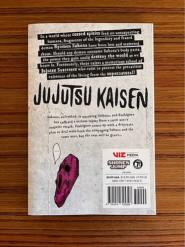 Jujutsu Kaisen, Vol. 14 (İngilizce)