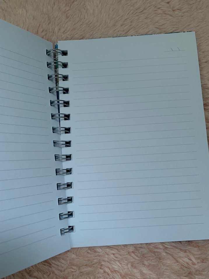 Papatya Desenli Çizgili Not Defteri - Görsel 4