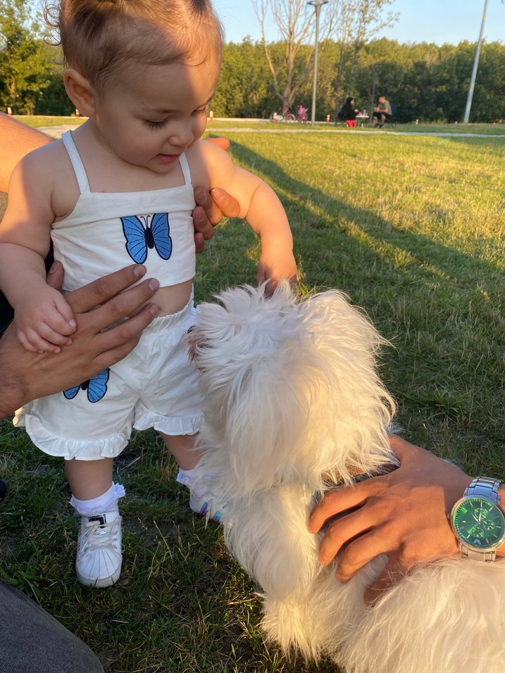 Kelebek Nakışlı Beyaz Bebek Kız Takım - Görsel 2