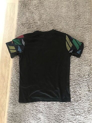 Puma puma forma