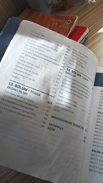 Modern mikro ekonomiye giriş