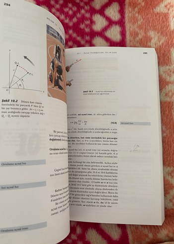 Fen ve mühendislik için fizik - Görsel 4