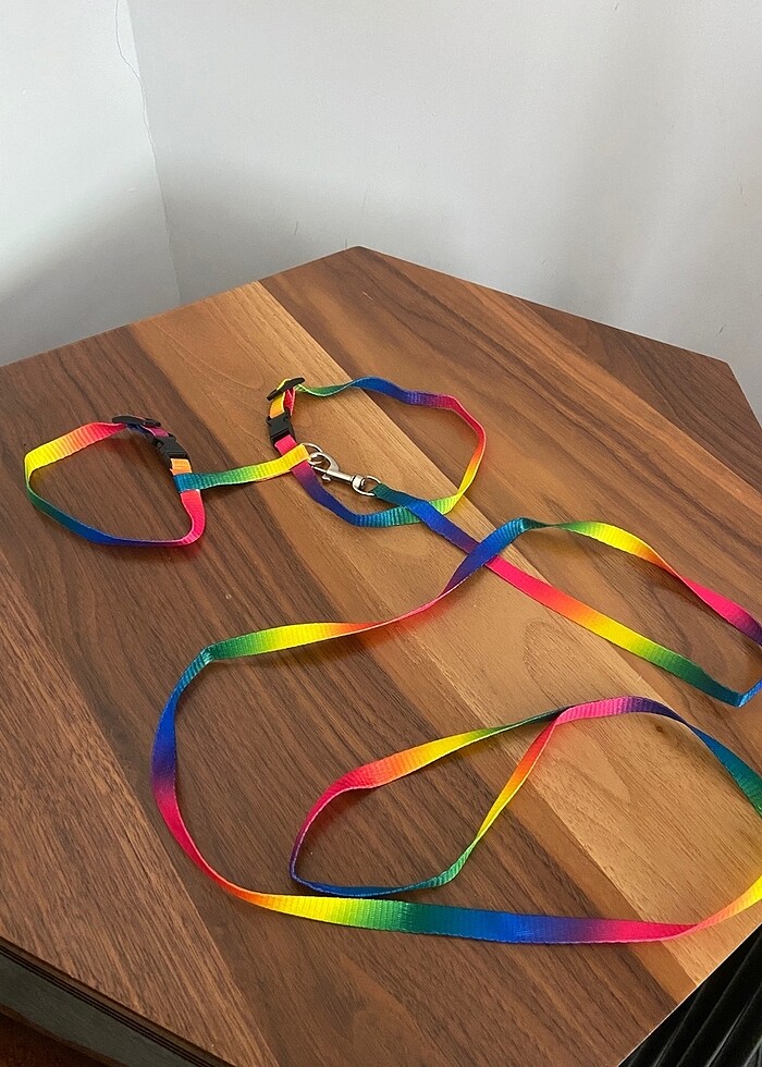 Kedi gezdirme tasması gökkuşağı - Görsel 2