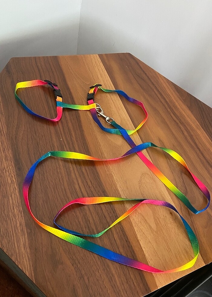 Kedi gezdirme tasması gökkuşağı - Görsel 3