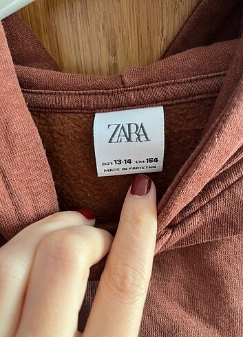 Zara Sweatshirt 