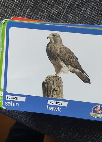 Diğer Kartlar