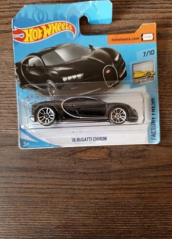 ms supra 