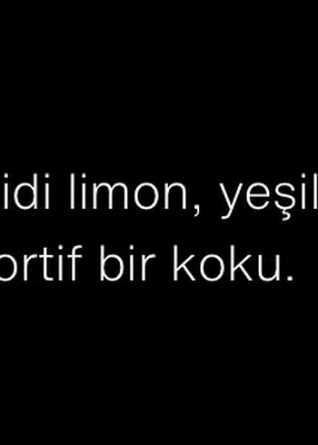 Zara Lisboa Erkek Parfümü ve Deodorant Seti - Görsel 2