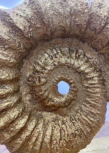 Parlak Altın Deniz Kabuğu Figürü salyangoz gold - Görsel 3