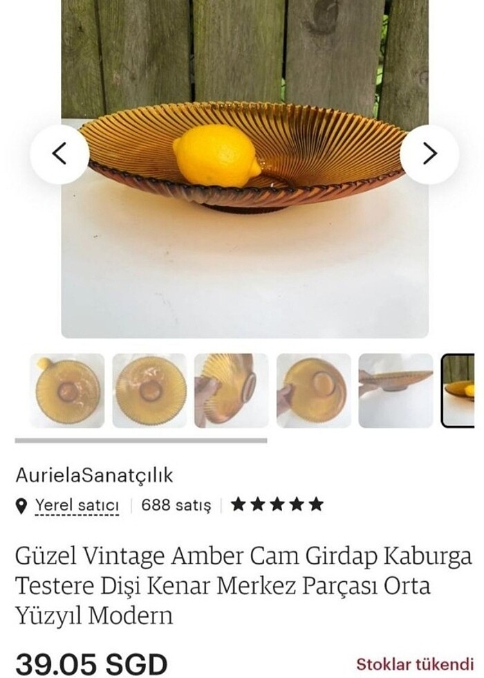 France meyve ve sunum tabağı amber rengi - Görsel 2