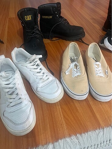 CAT NIKE VANS