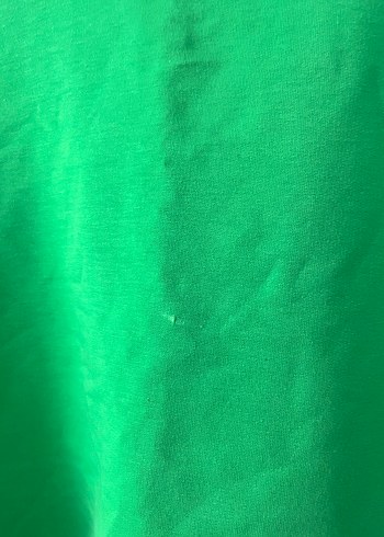 Kadın Yeşil Baskılı Fermuarlı Sweatshirt - Görsel 3