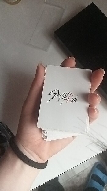 Stray kids fotocard seti