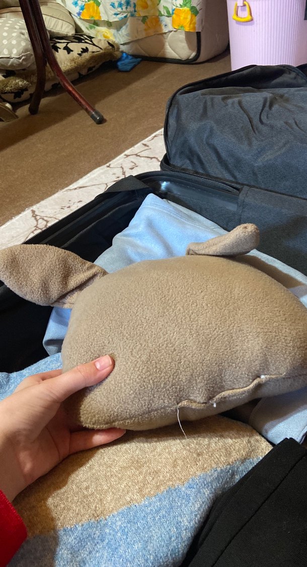 Gri Kedi Yüzü Tasarımlı Peluş Aksesuar - Görsel 3