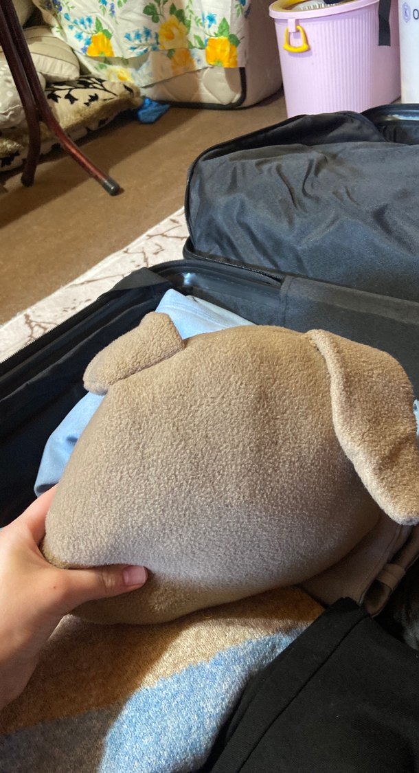 Gri Kedi Yüzü Tasarımlı Peluş Aksesuar - Görsel 4