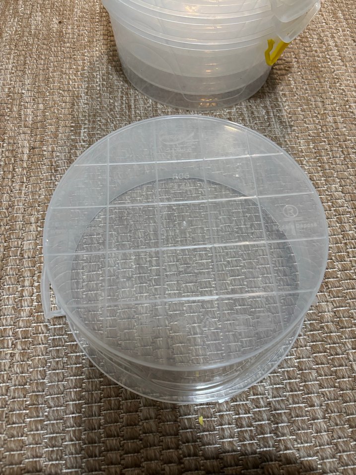 Sarı Kulplu Şeffaf Yiyecek Saklama Kabı Seti - Görsel 4