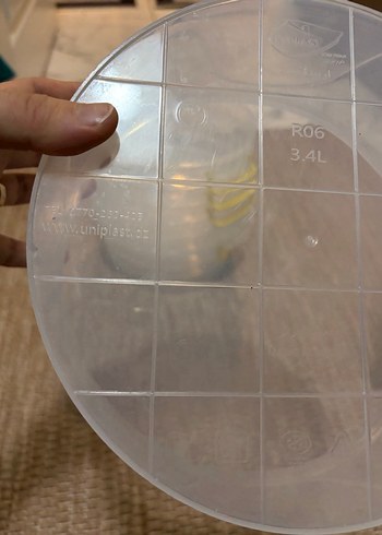 Sarı Kulp Detaylı Şeffaf Plastik Kova 7 tane 3.4 litre - Görsel 7