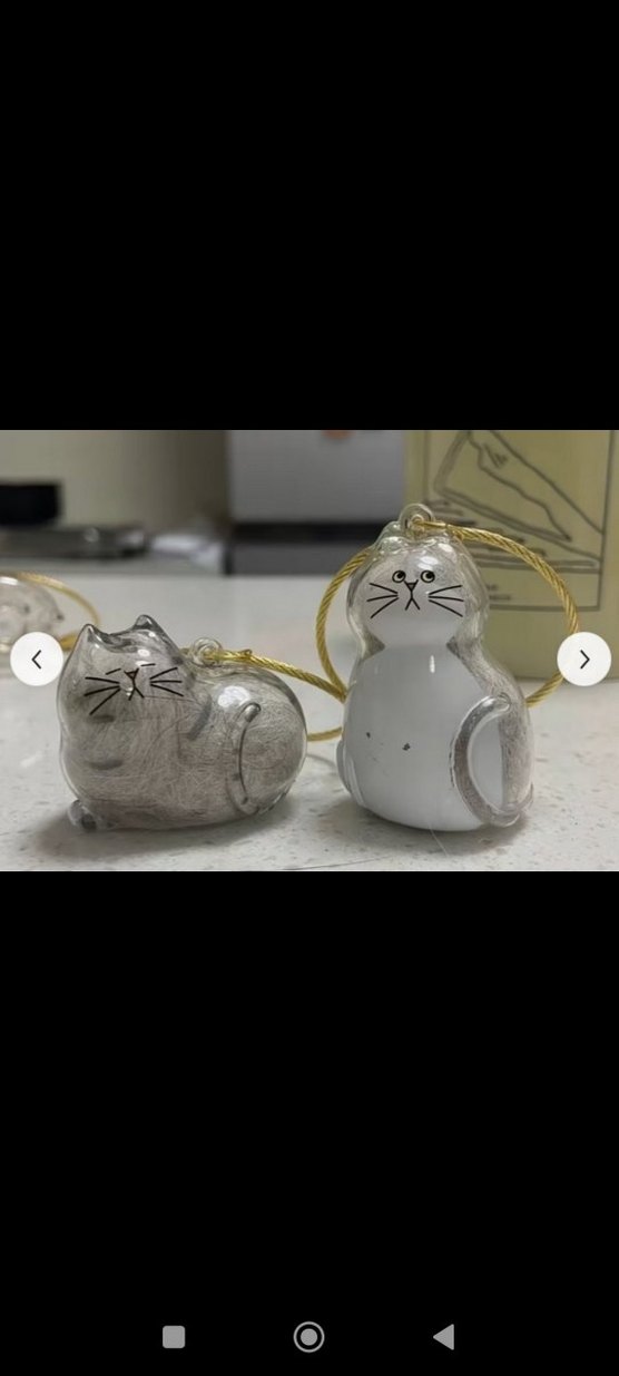 kedi tüyü saklama kapsülü, anahtarlık - Görsel 5