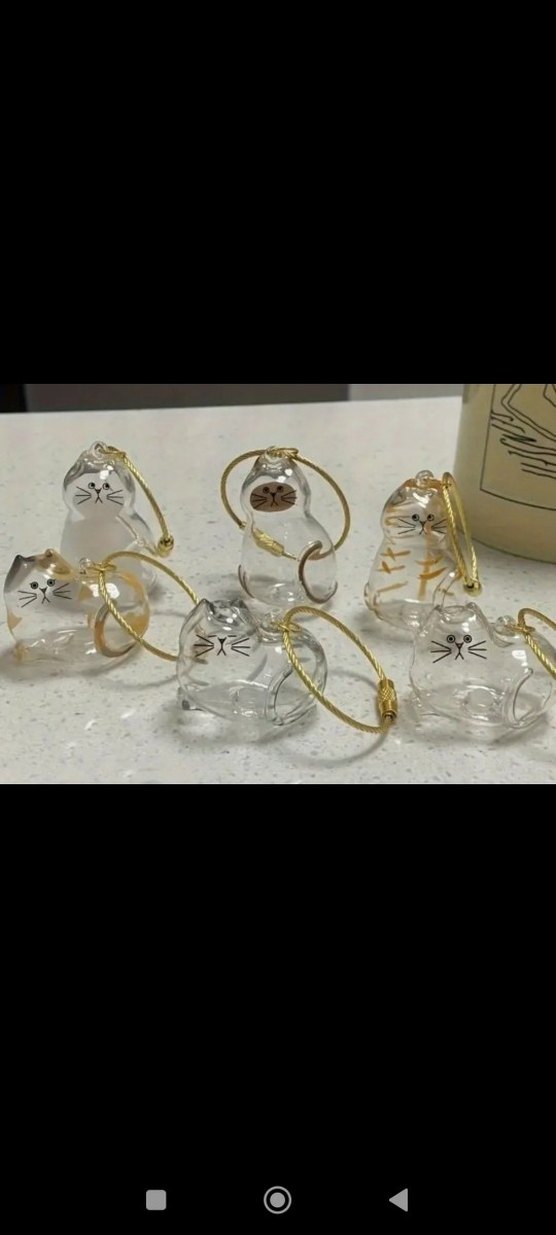 kedi tüyü saklama kapsülü, anahtarlık - Görsel 2