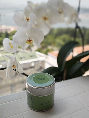 Balance Master Isuzu Organik Matcha Tozu 30g