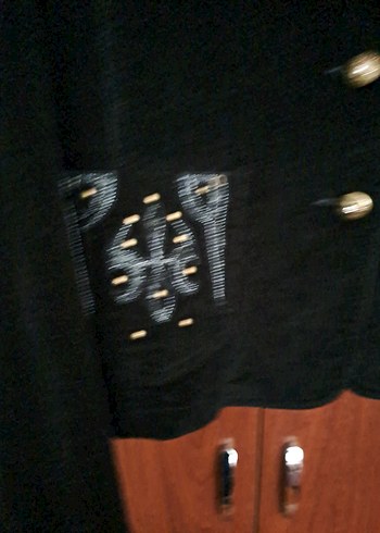 Siyah Nakışlı  Kadın Blazer Ceket - Görsel 2